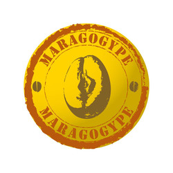 Caf MARAGOGYPE NICARAGUA Pur Arabica