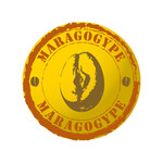Café MARAGOGYPE NICARAGUA Pur Arabica 