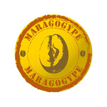 Caf MARAGOGYPE NICARAGUA Pur Arabica 